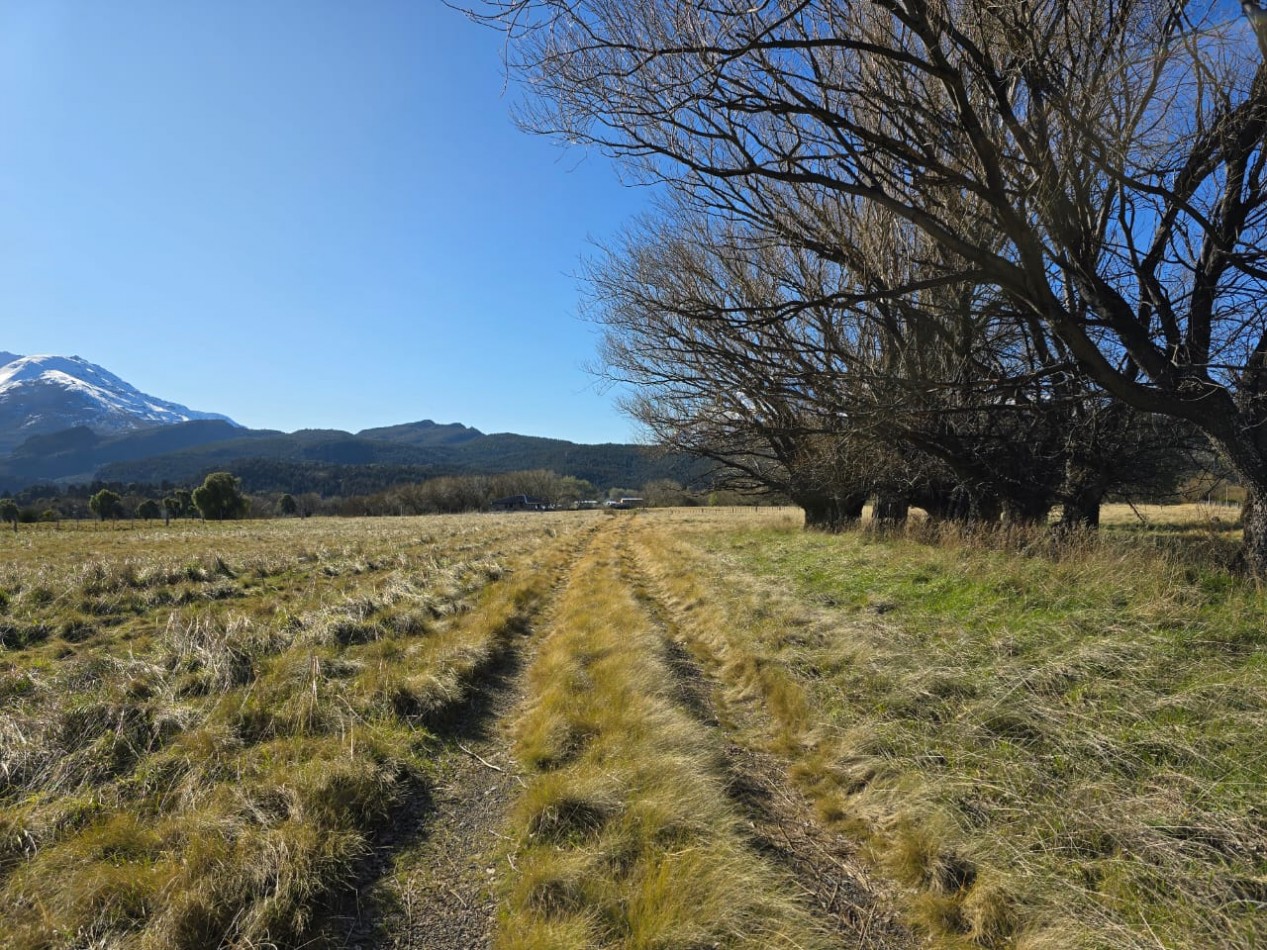 TERRENO DE 1Ha EN LOS CIPRESES PROV CHUBUT