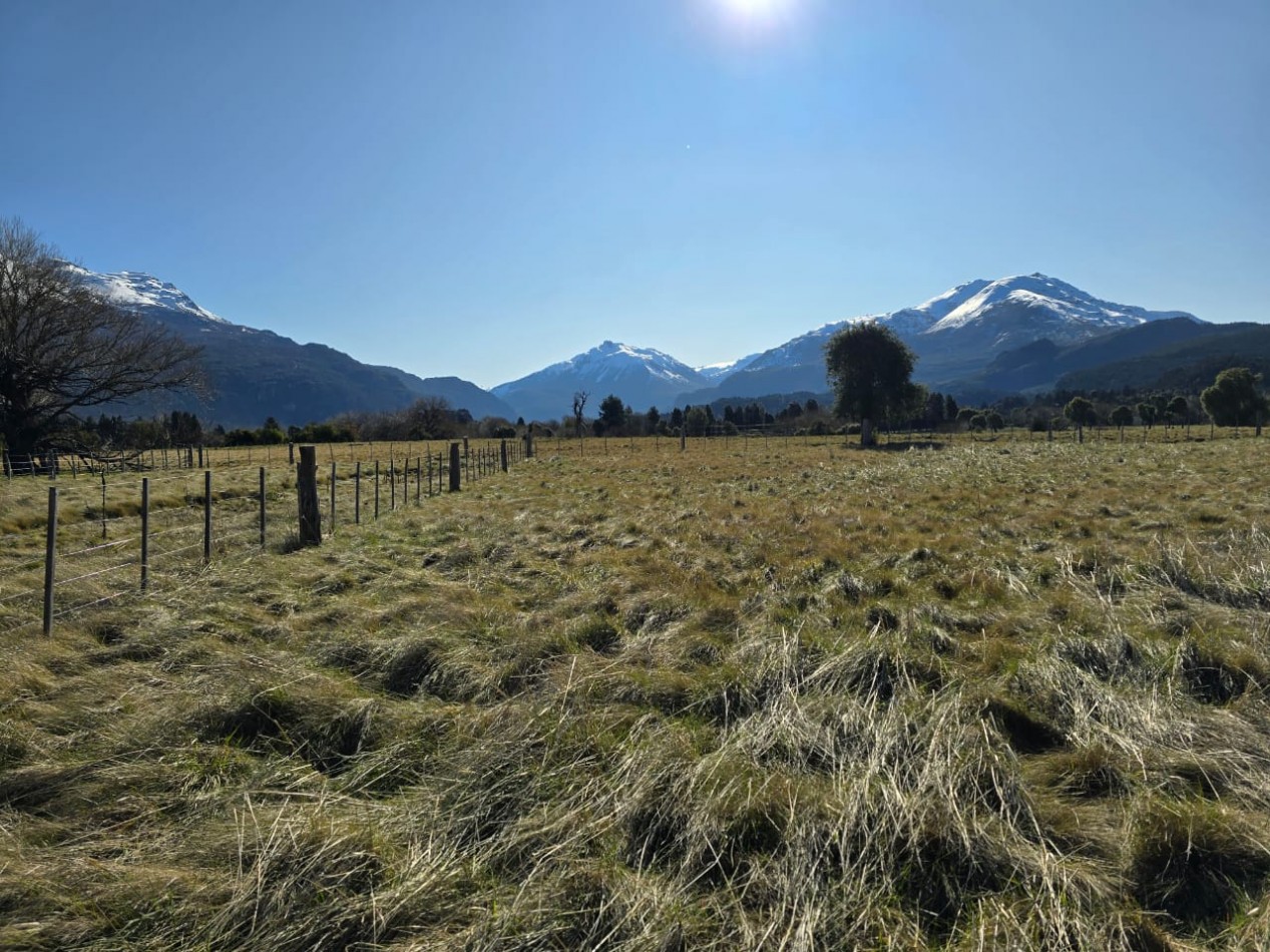 TERRENO DE 1Ha EN LOS CIPRESES PROV CHUBUT