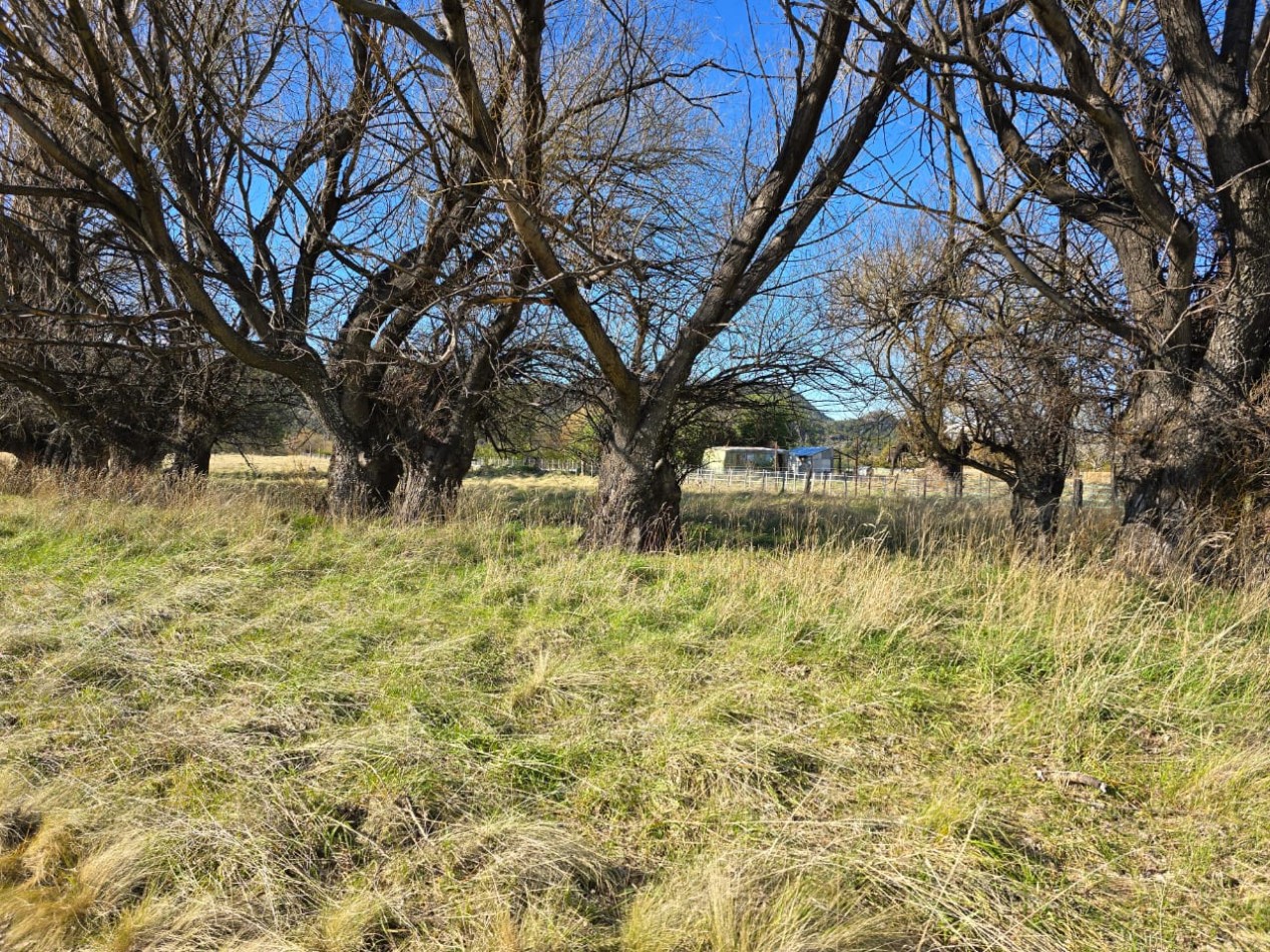 TERRENO DE 1Ha EN LOS CIPRESES PROV CHUBUT