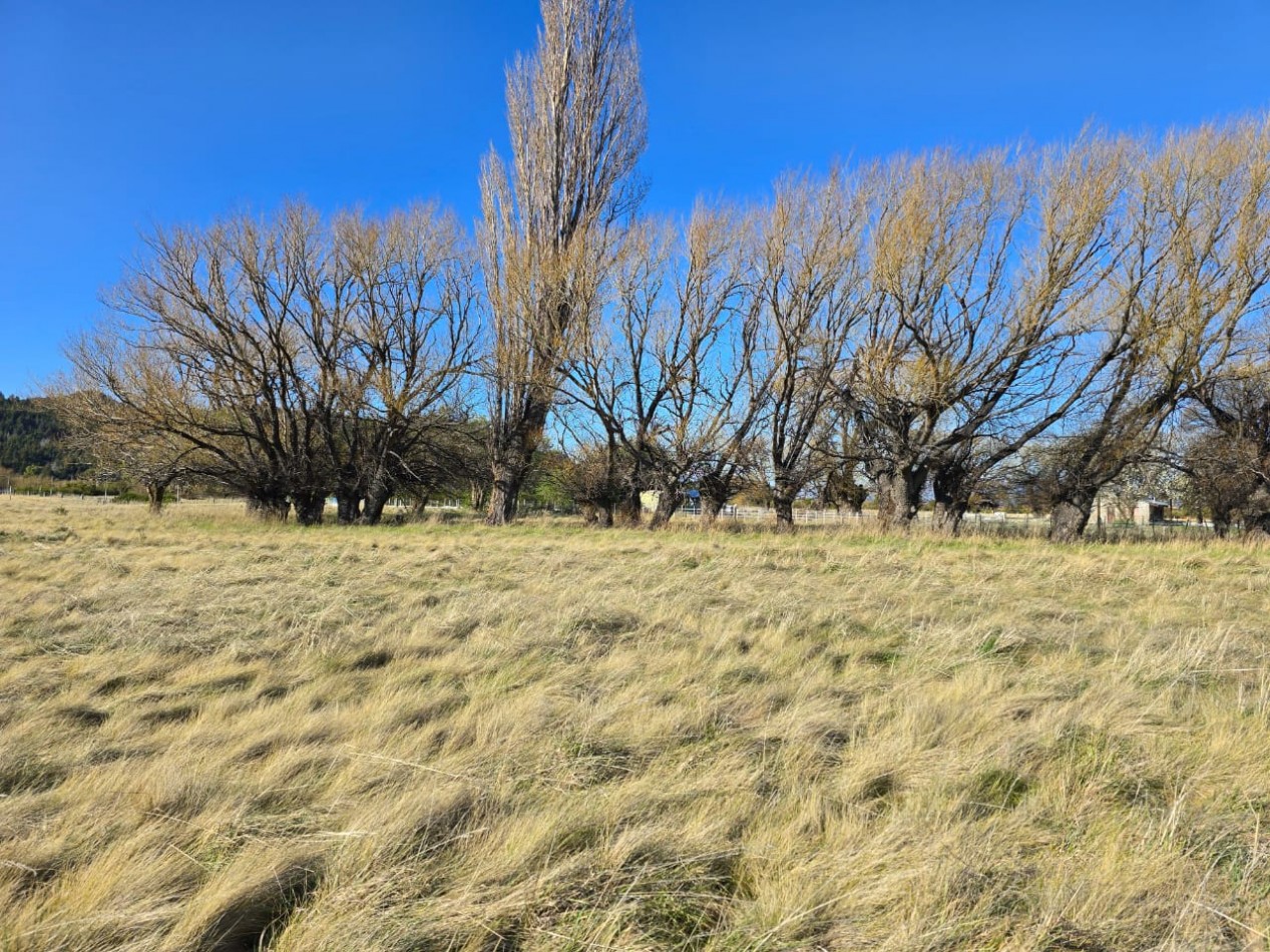 TERRENO DE 1Ha EN LOS CIPRESES PROV CHUBUT