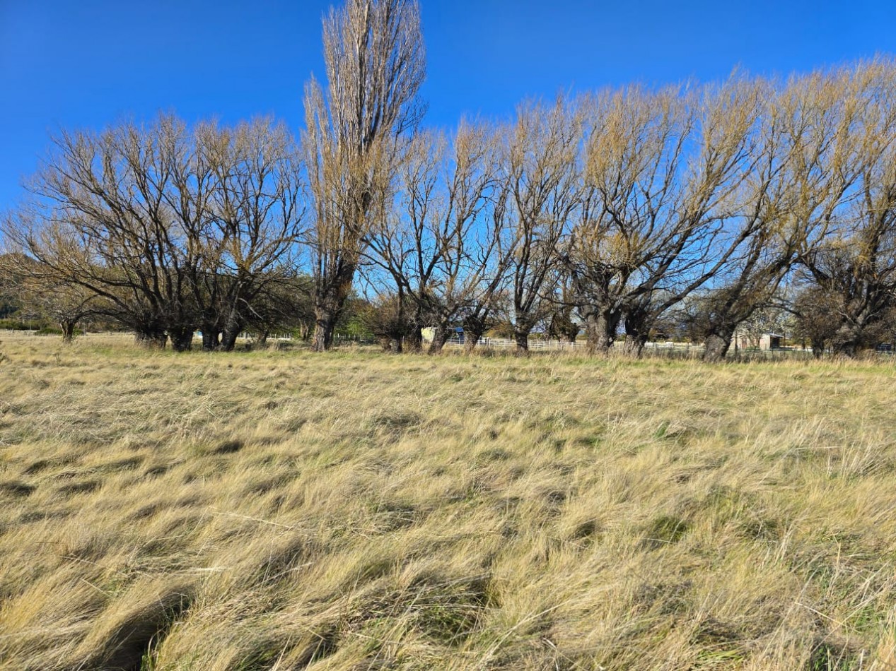 TERRENO DE 1Ha EN LOS CIPRESES PROV CHUBUT