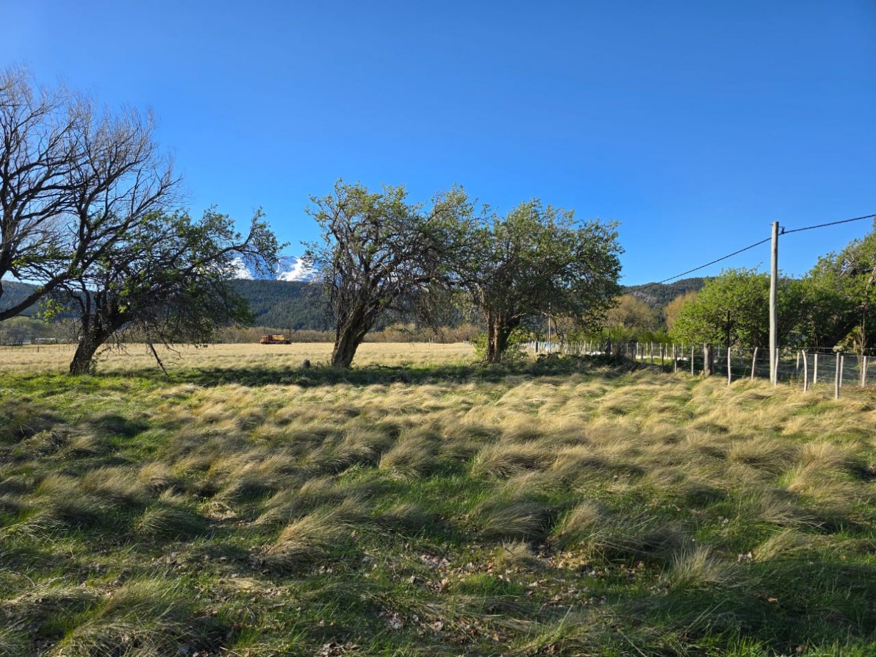 TERRENO DE 1Ha EN LOS CIPRESES PROV CHUBUT