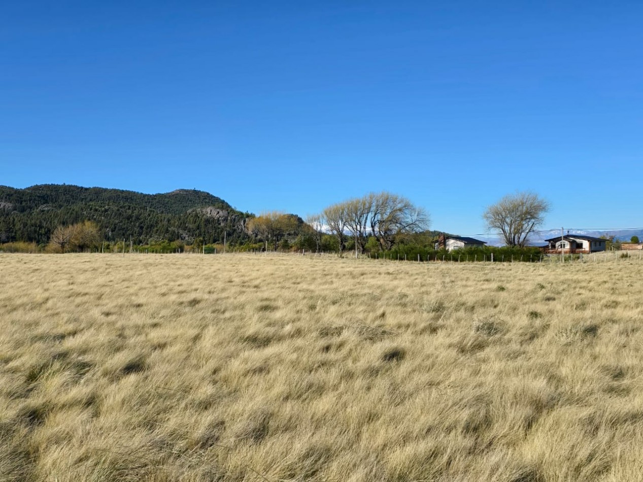 TERRENO DE 1Ha EN LOS CIPRESES PROV CHUBUT