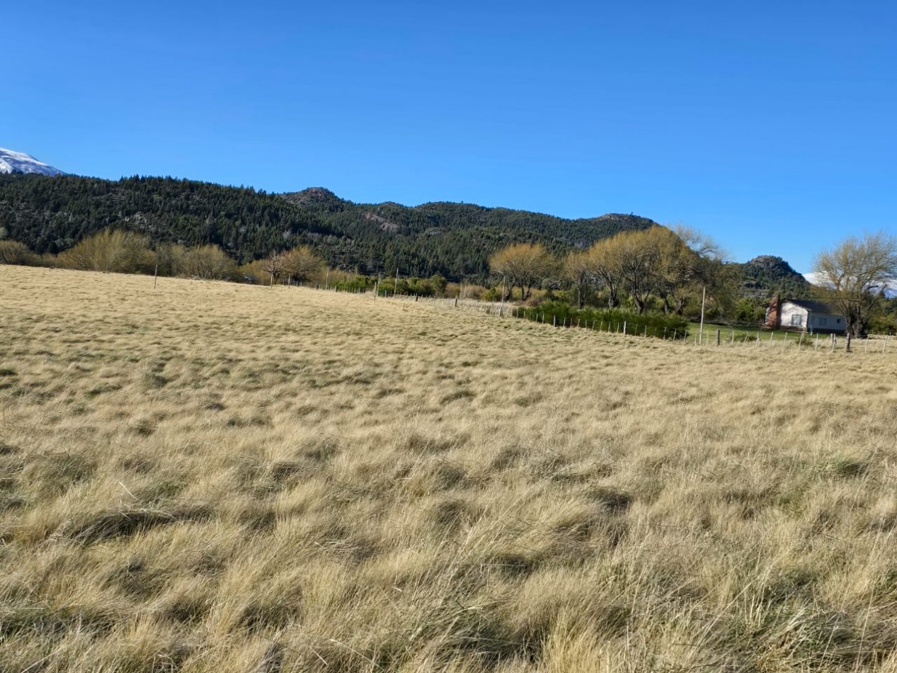 TERRENO DE 1Ha EN LOS CIPRESES PROV CHUBUT