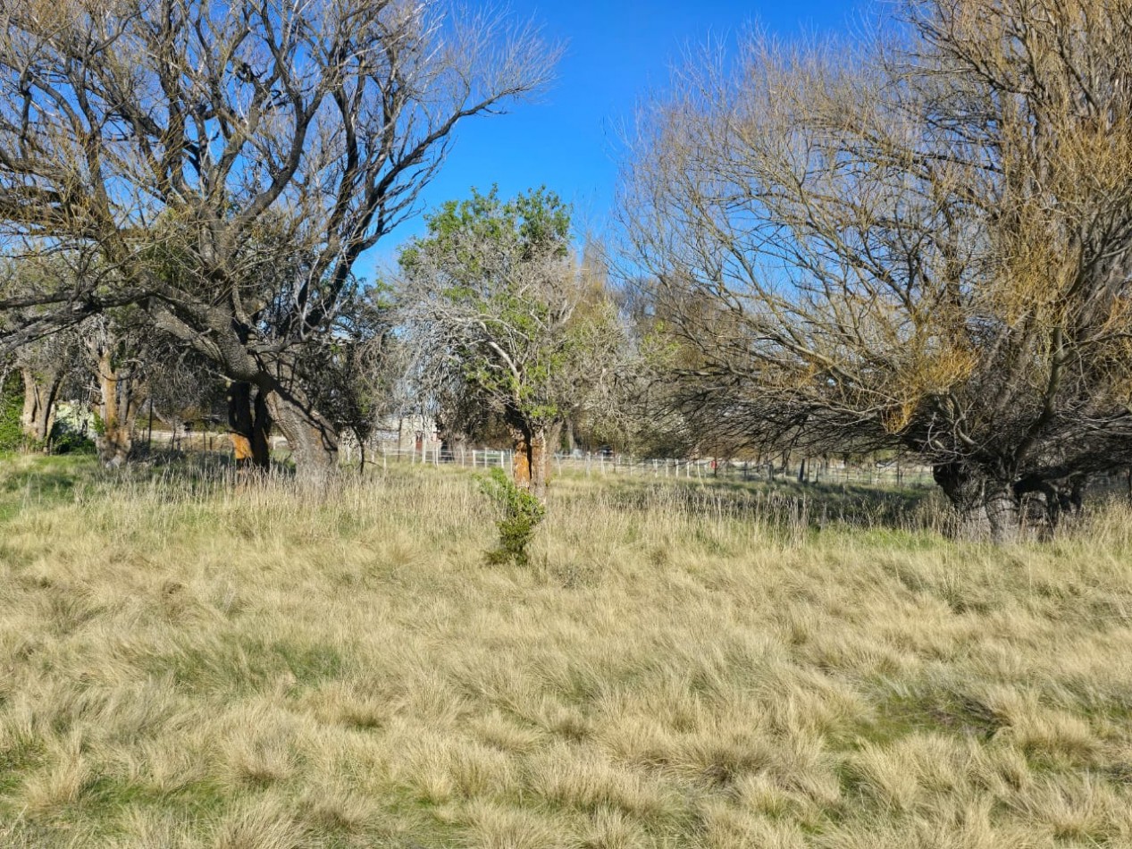 TERRENO DE 1Ha EN LOS CIPRESES PROV CHUBUT