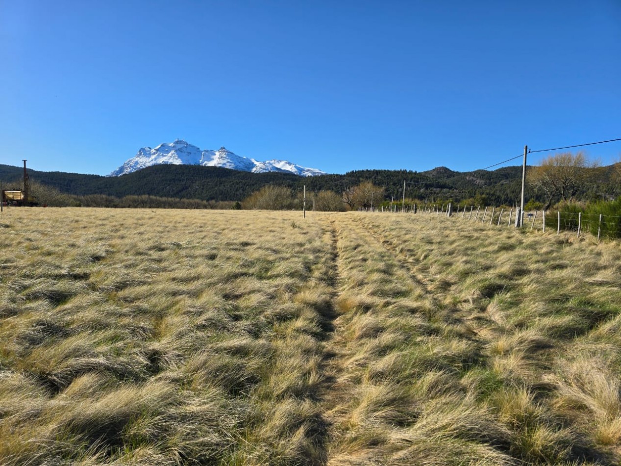 TERRENO DE 1Ha EN LOS CIPRESES PROV CHUBUT