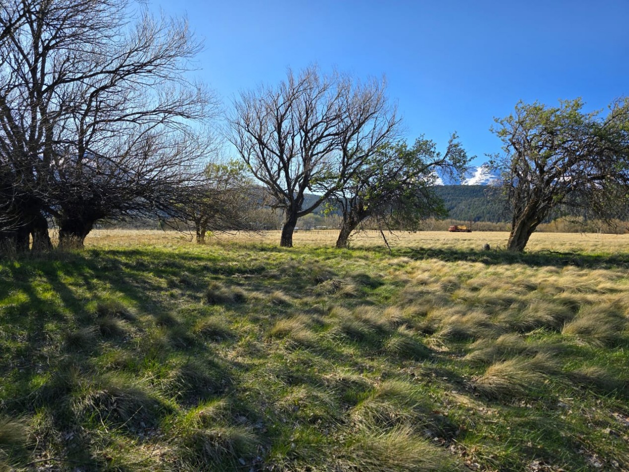 TERRENO DE 1Ha EN LOS CIPRESES PROV CHUBUT