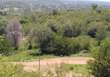 Gan lote en la rotonda de la Comuna San Roque