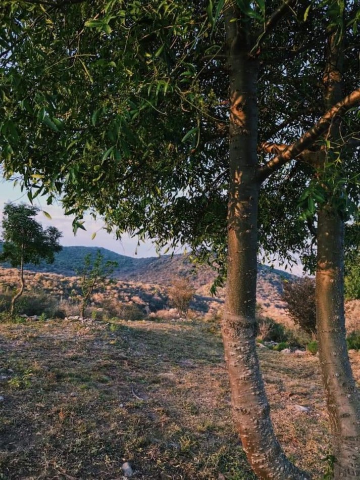 Terrenos en Venta en las Sierras de Cordoba.